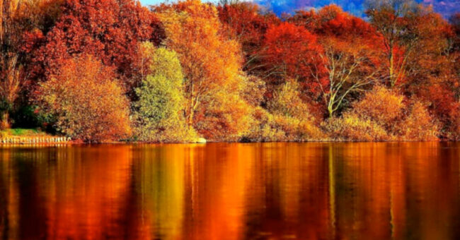 OTTOBRE ROSSO Viaggi da Favola per Gruppi e Famiglie OTTOBRE ROSSO Viaggi da Favola per Gruppi e Famiglie