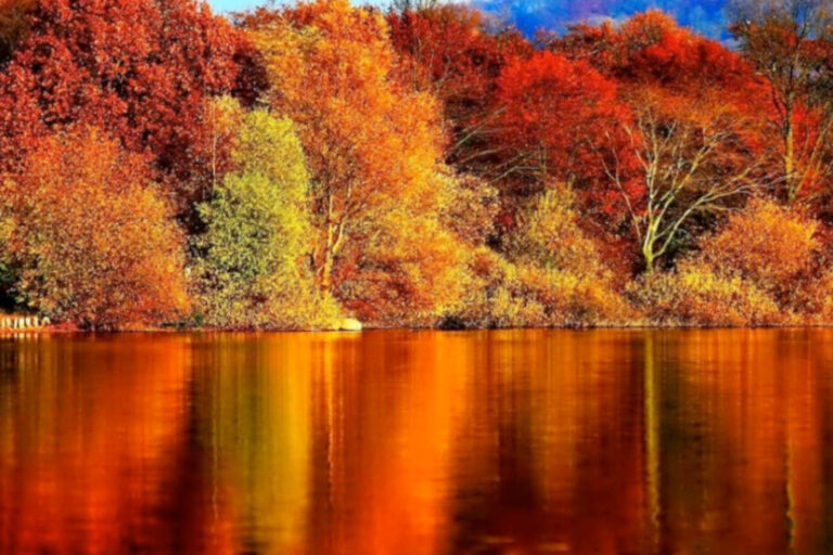 OTTOBRE ROSSO Viaggi da Favola per Gruppi e Famiglie