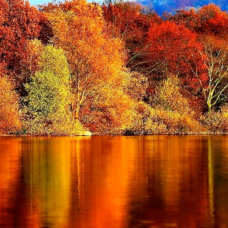 OTTOBRE ROSSO Viaggi da Favola per Gruppi e Famiglie