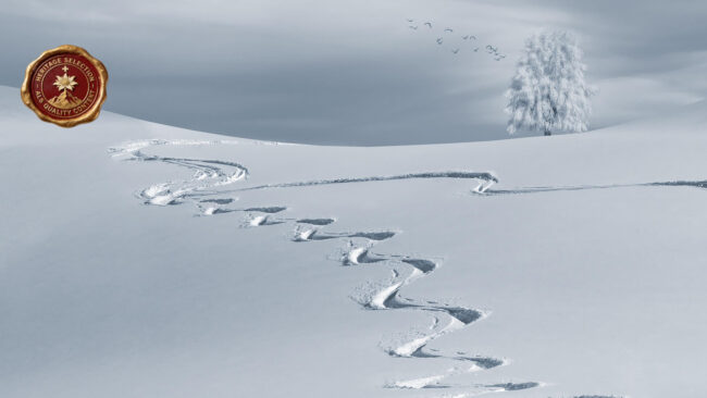 L’Anima delle Alpi Marittime: Dal Ticino al Cuore del Monregalese L’Anima delle Alpi Marittime: Dal Ticino al Cuore del Monregalese