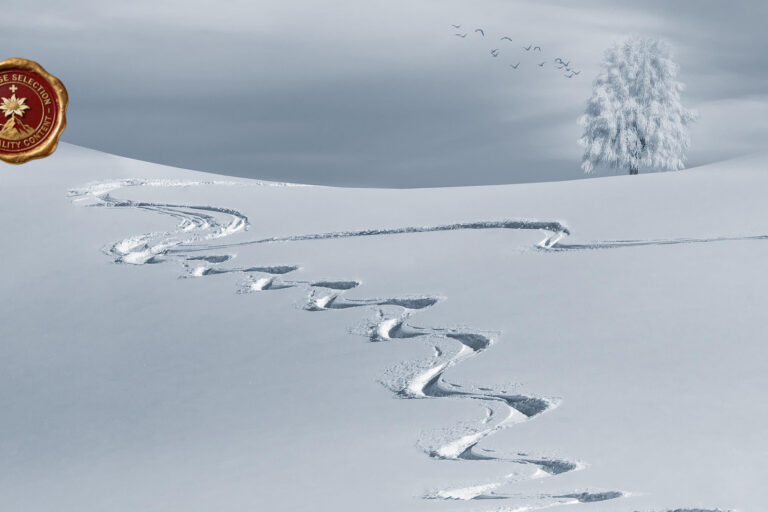 L’Anima delle Alpi Marittime: Dal Ticino al Cuore del Monregalese