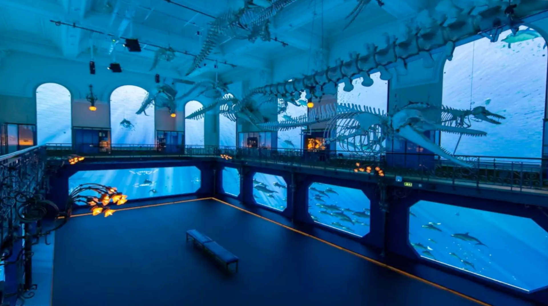 Museo Oceanografico Museo Oceanografico