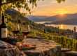 Vendemmia in Ticino